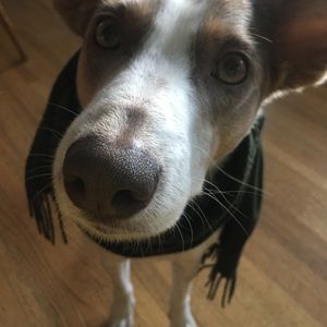 Meet your Posher, Lori